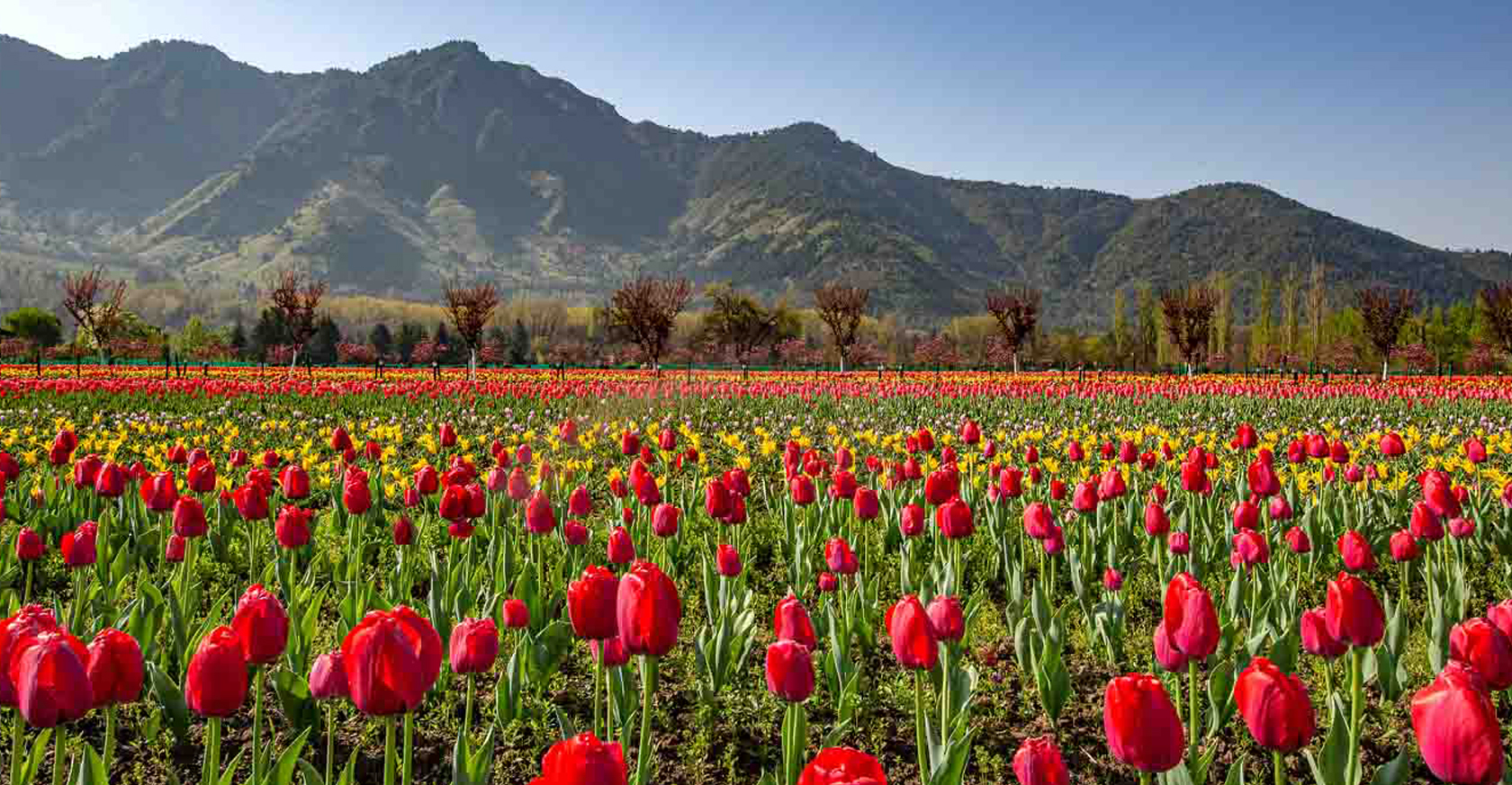 kashmir tour package from kolkata