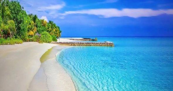 8 nights and 9 days itinerary for Andaman Book