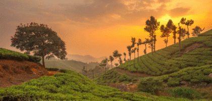 _plan a trip to Kerala in Summer