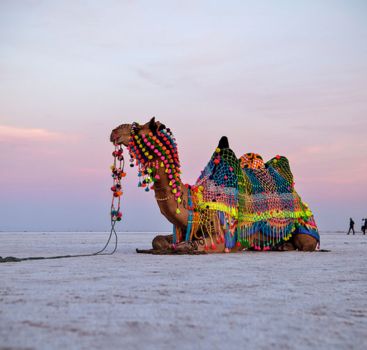 Gujarat (3)