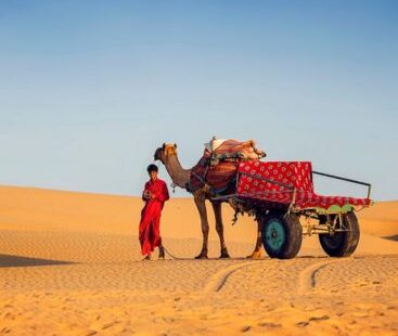 rajasthan tour packages