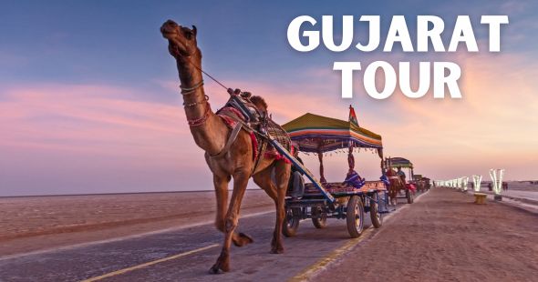 Gujarat Tour Packages From Kolkata