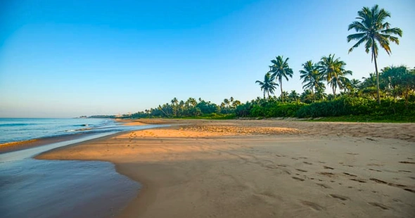 Bentota