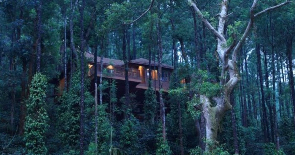 Coorg Best Honeymoon Places in India