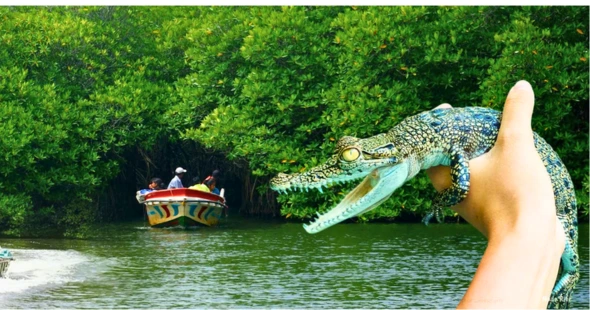 Madu River Boat Ride