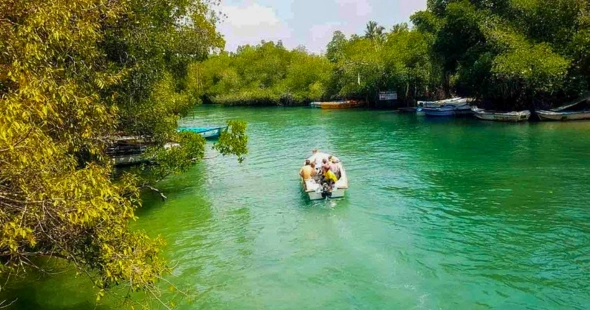Madu River