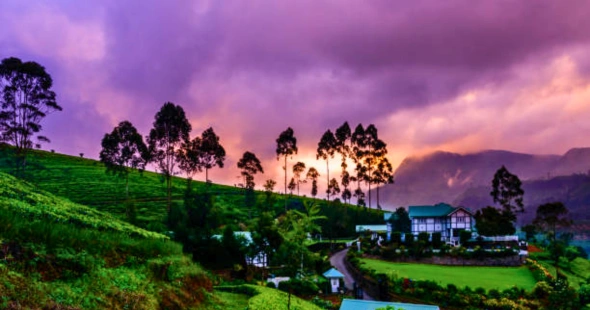 Nuwara Eliya