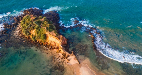 Parrot Rock
