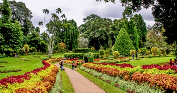 Royal Botanical Gardens